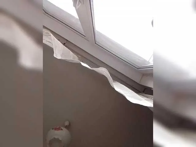 AliceFoxy777 Image 11