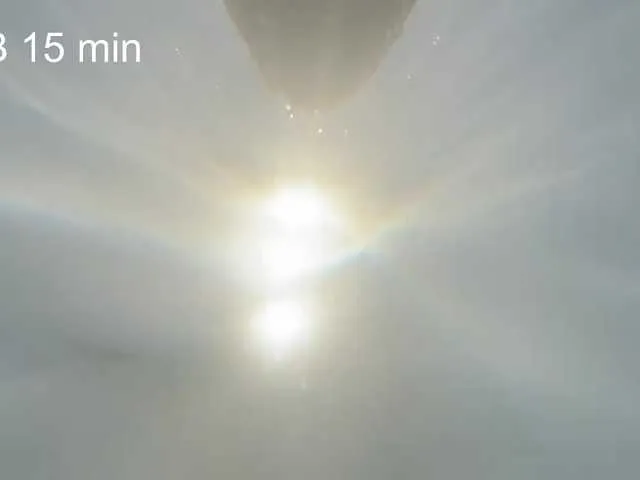 AlikBlack's Thumb Image