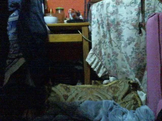 butterfly007 Image 12