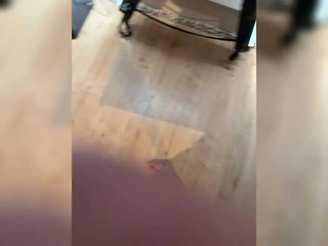 elegancycouple Image 2