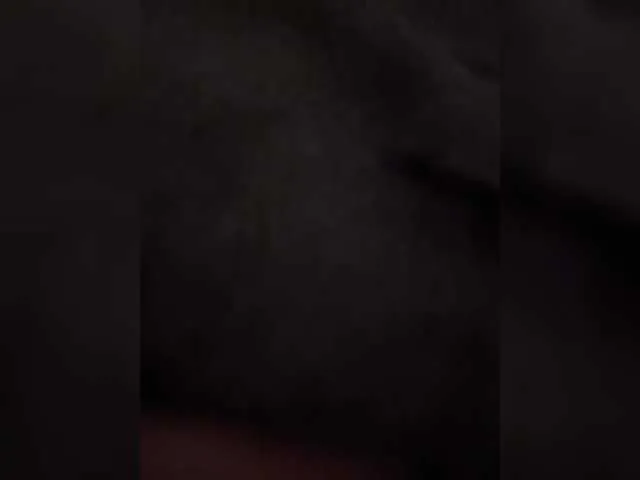 Two-foxes's Thumb Image