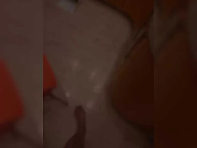 XKotikiX Image 7